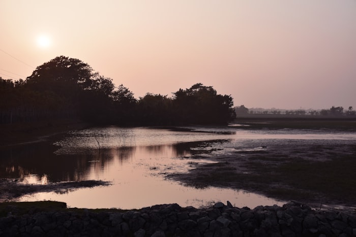 Waterways of the Sundarbans mangrove forest